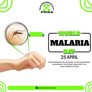 Instagram post from pdsapakistan. This post is in position 1.